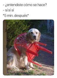 Meme 002